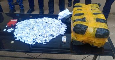 Conakry : 913 boules de la drogue kush saisies par les services spéciaux
