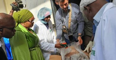Pêche : après 16 années de suspension, la Guinée relance les exportations de ses produits halieutiques congelés vers l’UE