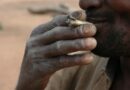 Kaloum/ Boulbinet : un jeune meurt sous l’effet de la drogue Kush ( source)