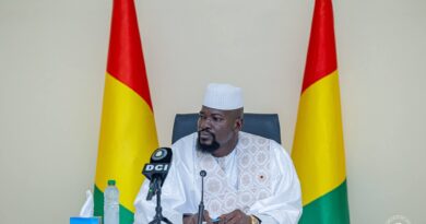 Présidence : le président Doumbouya limoge deux cadres pour « faute lourde » (décret) 