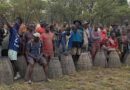 Koundara : le barbotage des mares d’Akana, une immersion séculaire au cœur de l’identité badjaranké