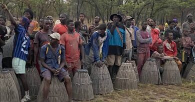 Koundara : le barbotage des mares d’Akana, une immersion séculaire au cœur de l’identité badjaranké