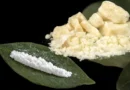 Trafic de cocaïne: deux femmes condamnées à des lourdes peines 