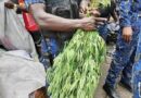 Kaloum : un champ de cannabis découvert à Boulbinet lors d’une opération de déguerpissement